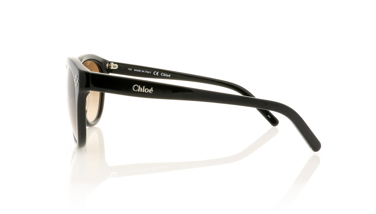 Chloé CE620S 3 Black Sunglasses - Side