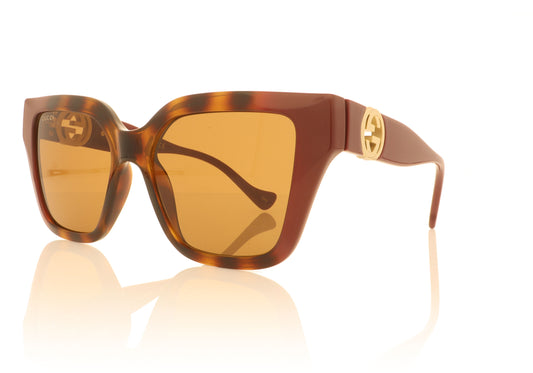 Gucci GG1023S 009 Havana Burgundy Sunglasses - Angle
