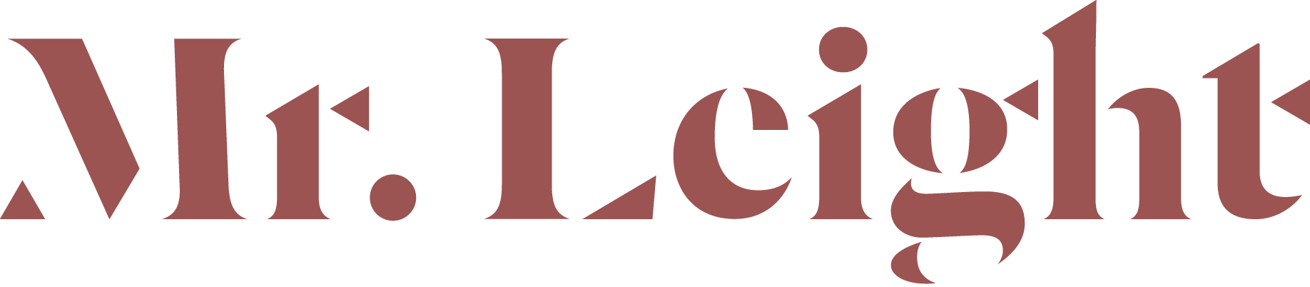 Mr. Leight Logo